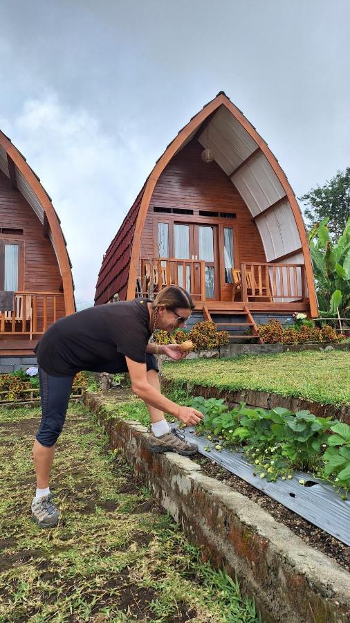 Family Rinjani Bungalow Sajang Экстерьер фото
